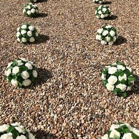 fwthumbaisle balls d.jpg